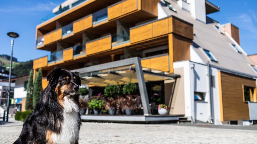 News from the world wide web: our relaunch News from the world wide web: our relaunch